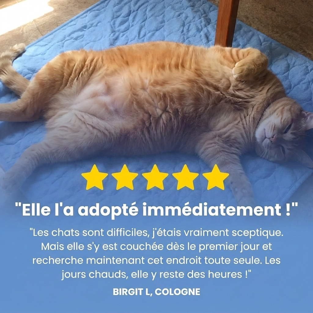 Tapis rafraîchissant Coolinou