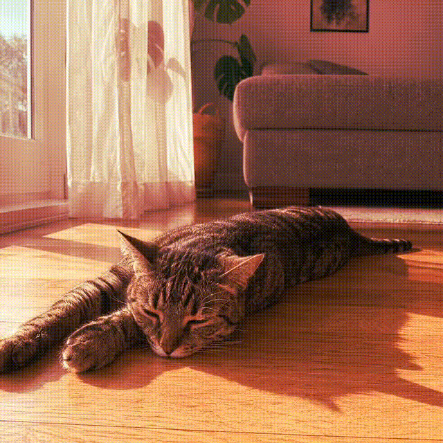 Tapis rafraîchissant Coolinou